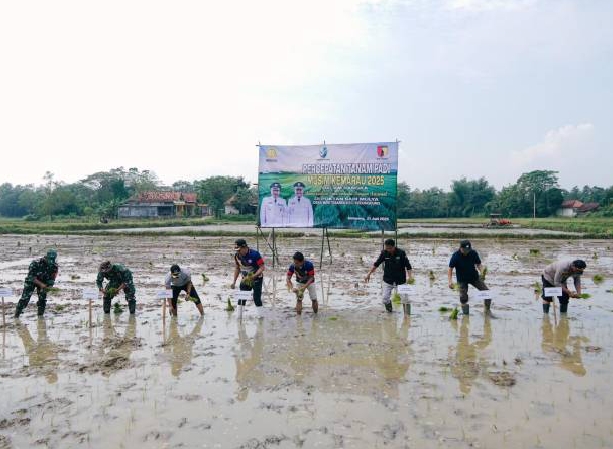Bupati Sampang Tanam Padi Di Desa Muktesareh “Dukung Program pemerintah”