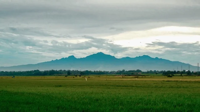 Pendaki Wanita Terjatuh di Gunung Muria Belum Ditemukan, Tim SAR Kembali Bergerak